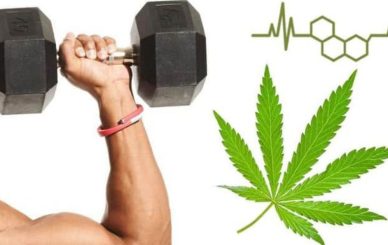 CBD Benefits for Muscle Growth and Fitness