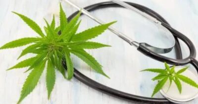 CBD for Cancer Treatment