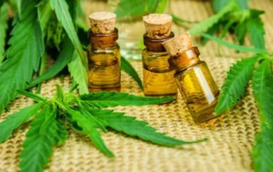 cbd oil for anxiety