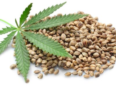 Hemp Seeds