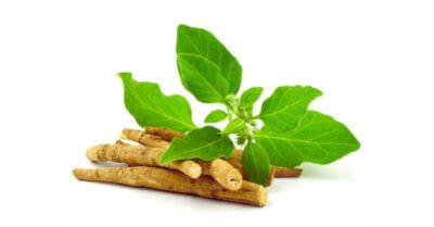 Asgand Nagori Benefits