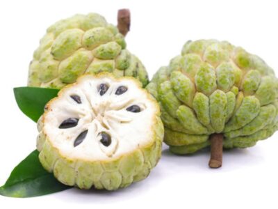 annona fight cancer naturally