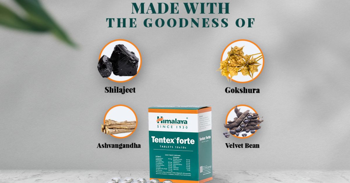 himalaya tentex forte tablet benefits