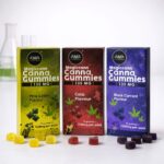 CANNABIS COLA PINACOLDA BLACKCURRANT GUMMIES