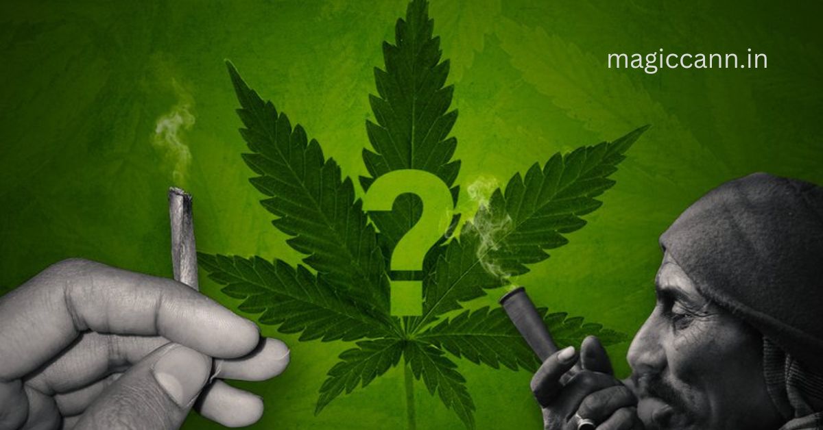 Is Ganja Banned in India? Legal Insights