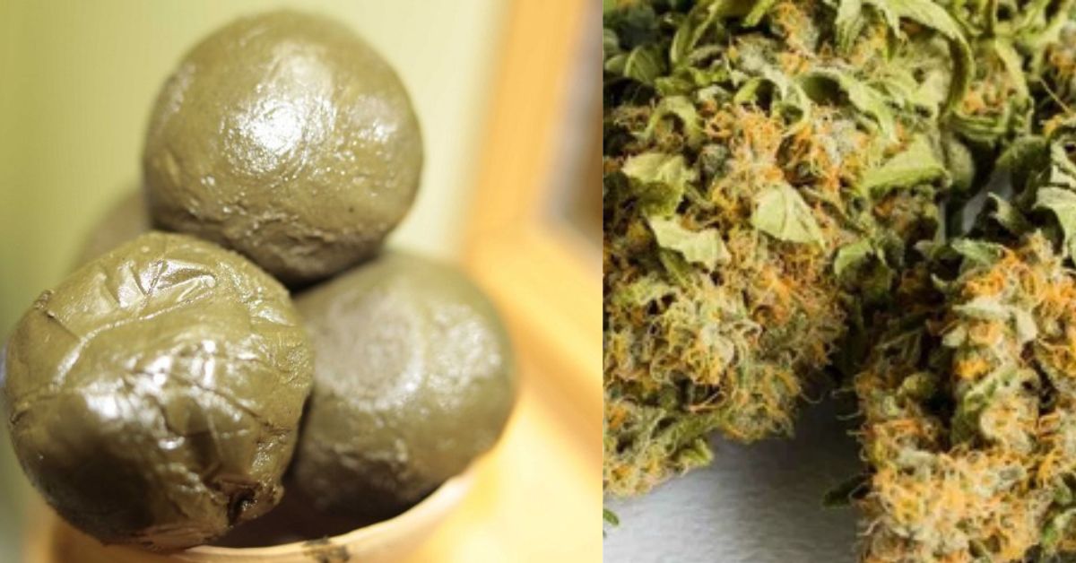 difference between bhang and ganja