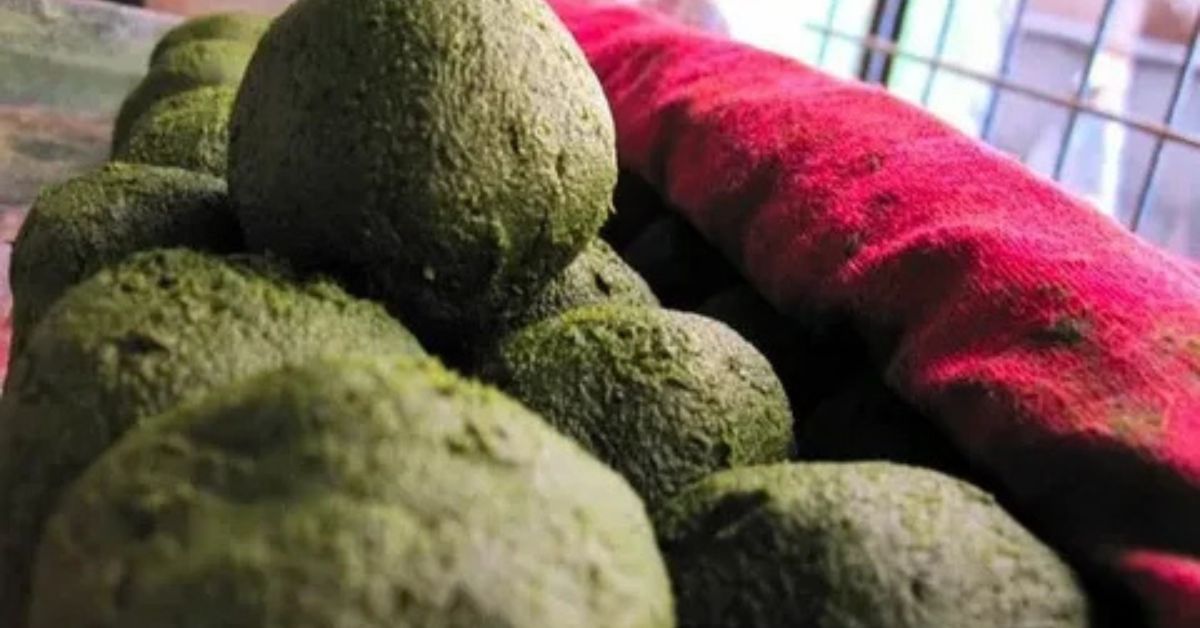 difference between bhang and ganja