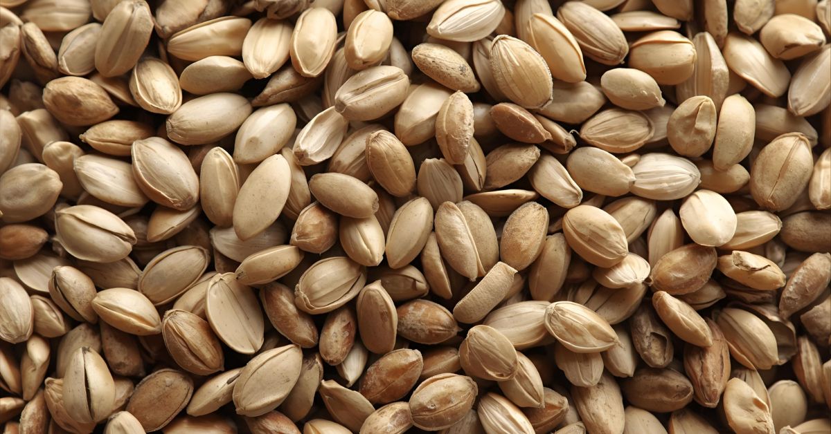 7 Incredible Benefits of Hemp Seeds