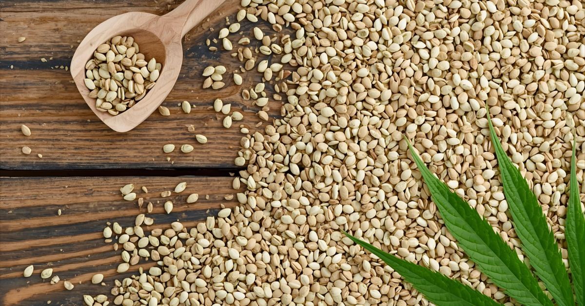 7 Incredible Benefits of Hemp Seeds