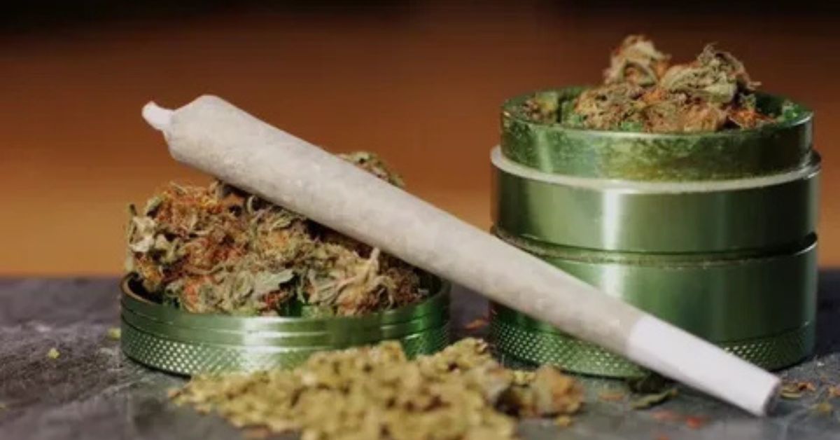 difference between bhang and ganja