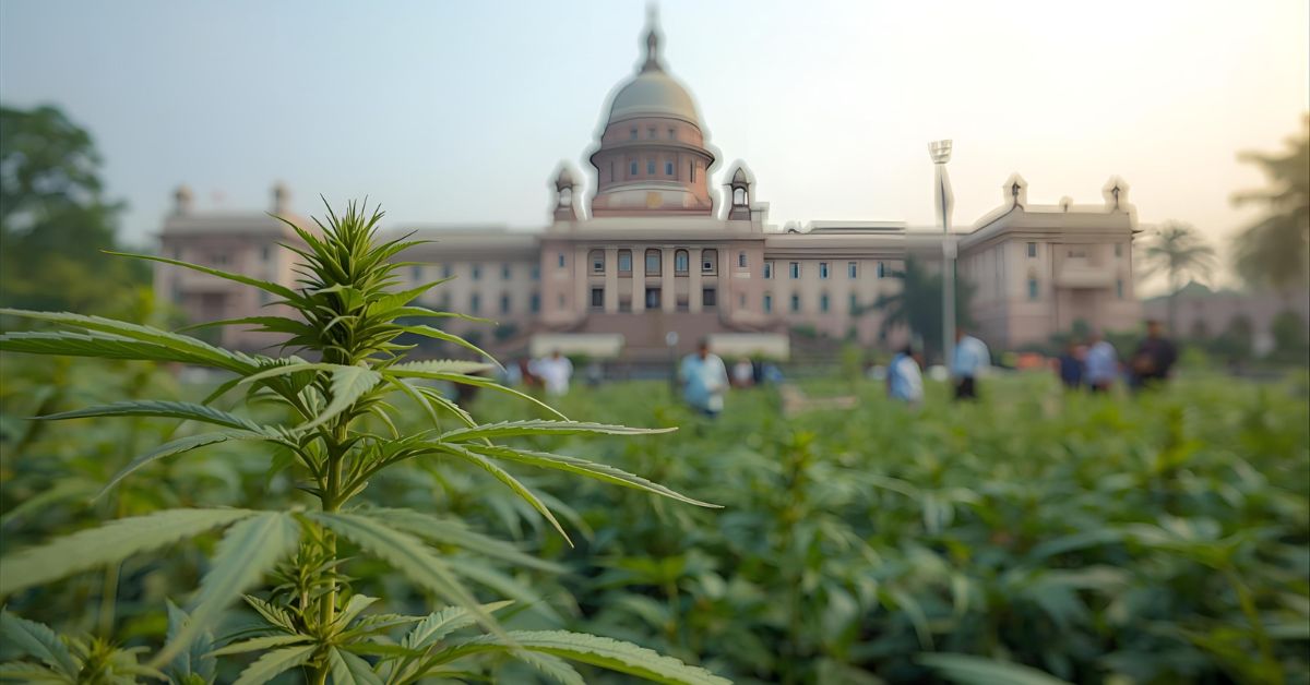 Is Hemp Legal in India?