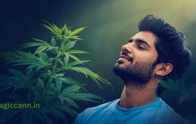 How Can CBD Help to Deal With High Cortisol Levels?