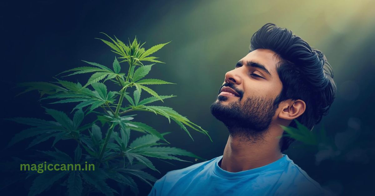 How Can CBD Help to Deal With High Cortisol Levels?