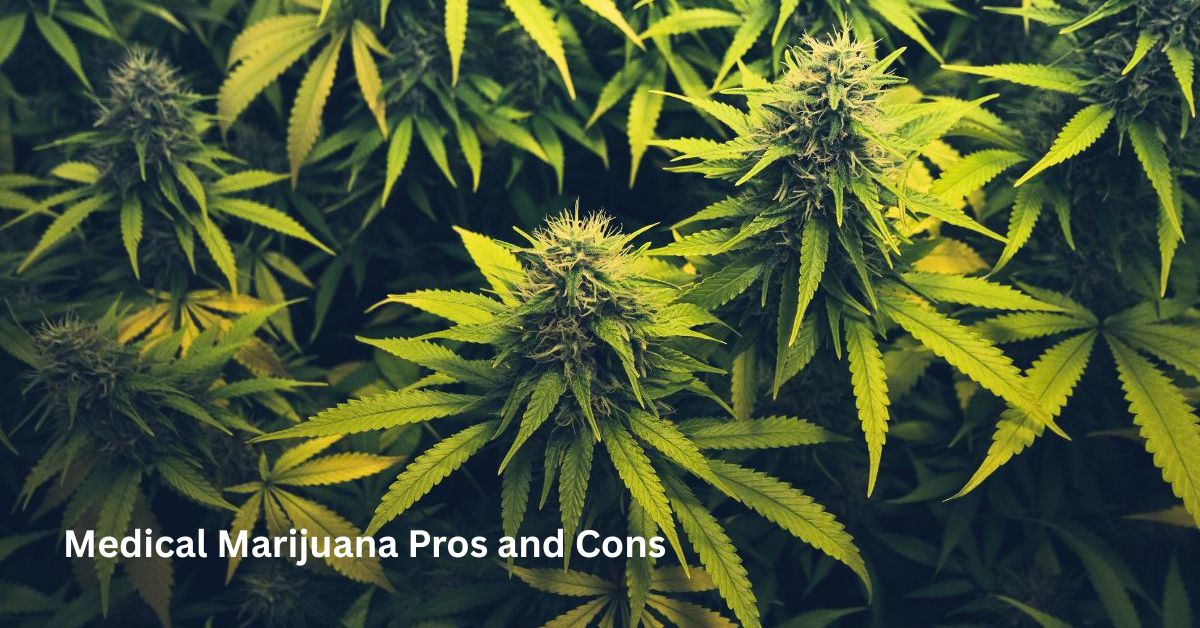 Medical Marijuana Pros and Cons