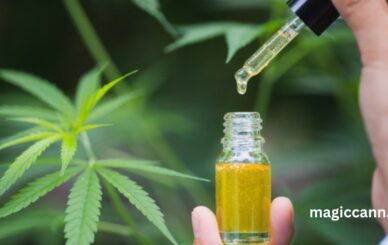 Top Benefits & Side Effects of Cannabis: Health & Safety Guide