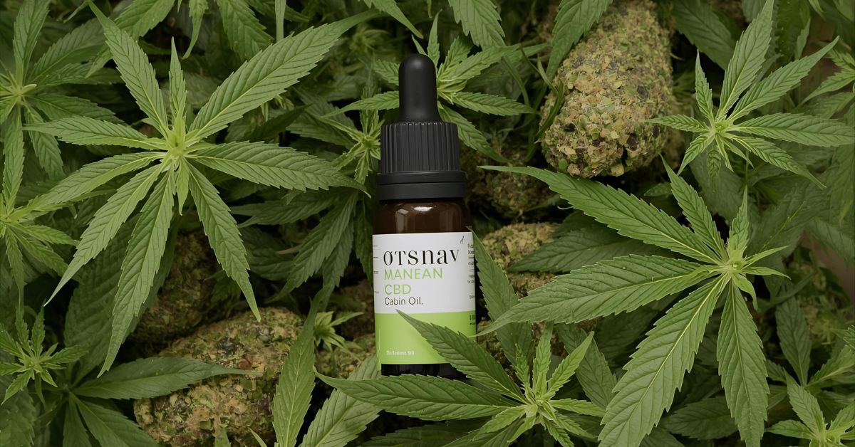 CBD Oil in Bangalore