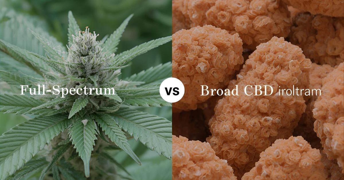 CBD for Essential Tremor