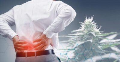 CBD for Sciatica Pain: A Natural Approach to Relief