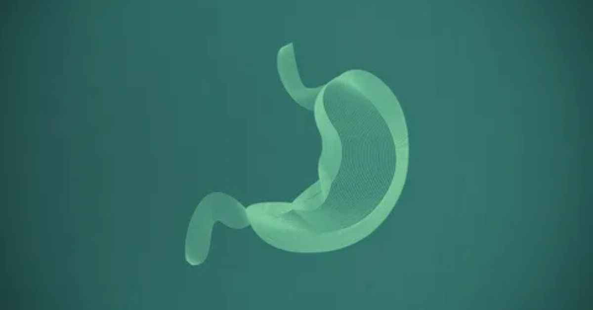 CBD For Gastritis Pain Relief