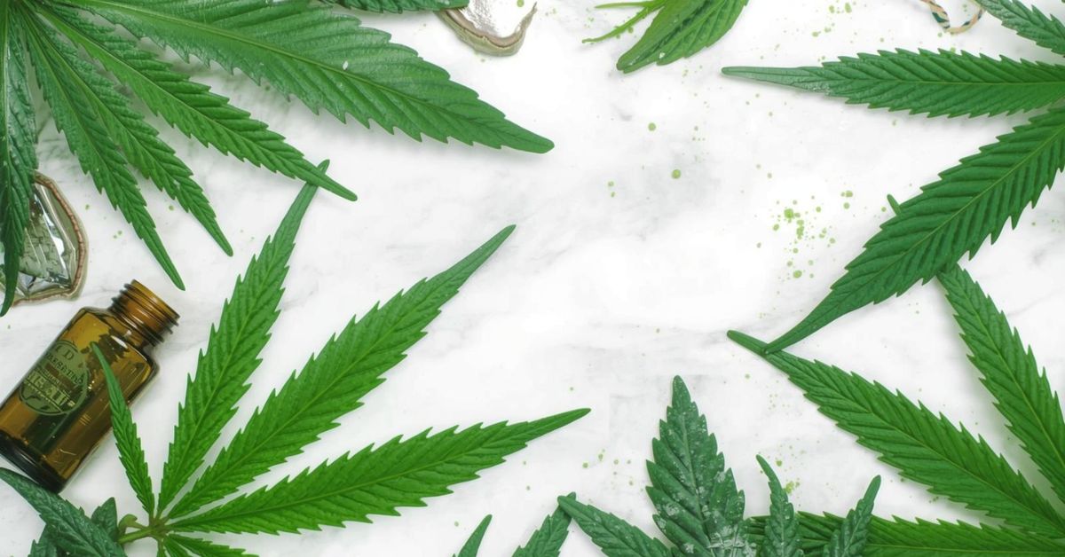 Can CBD Help with Breathing Issues like Asthma and COPD?