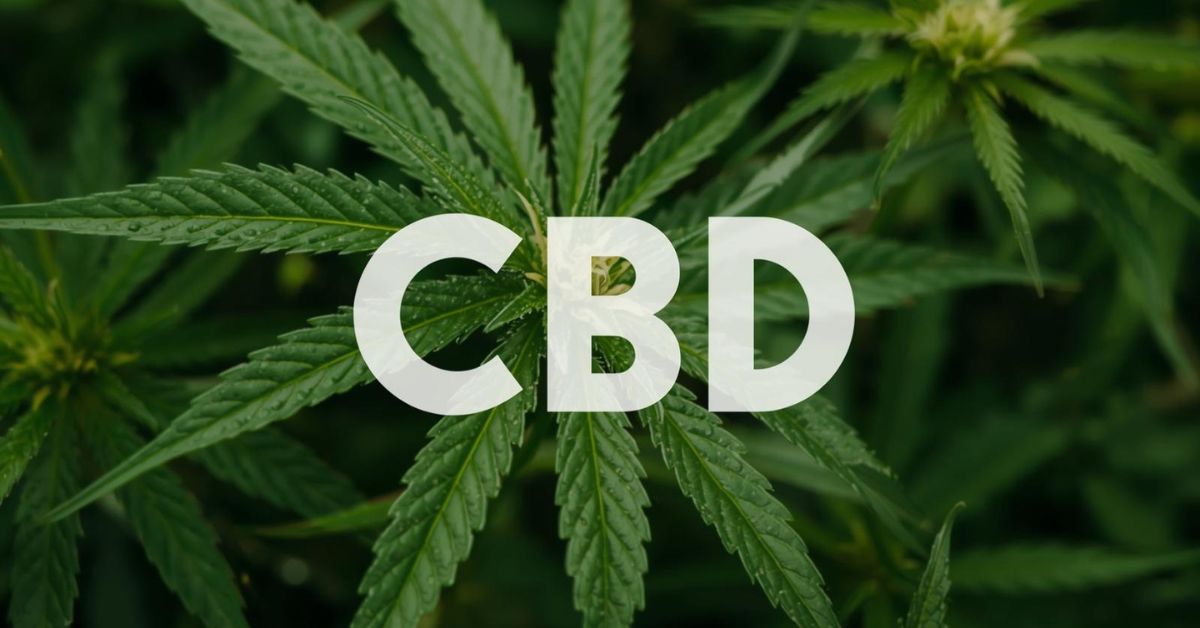 CBD Good for Vestibular Migraine