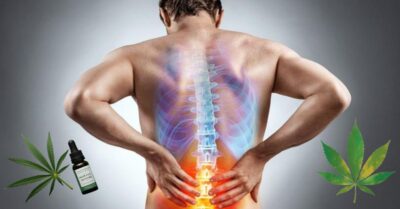 cbd for spinal stenosis pain