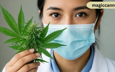 The Use of CBD for Autoimmune Diseases