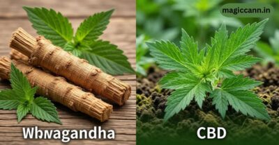 Ashwagandha vs. CBD for Sleep