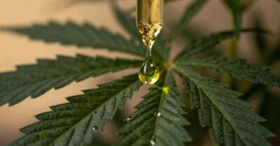 Why is CBD Oil So Expensive?