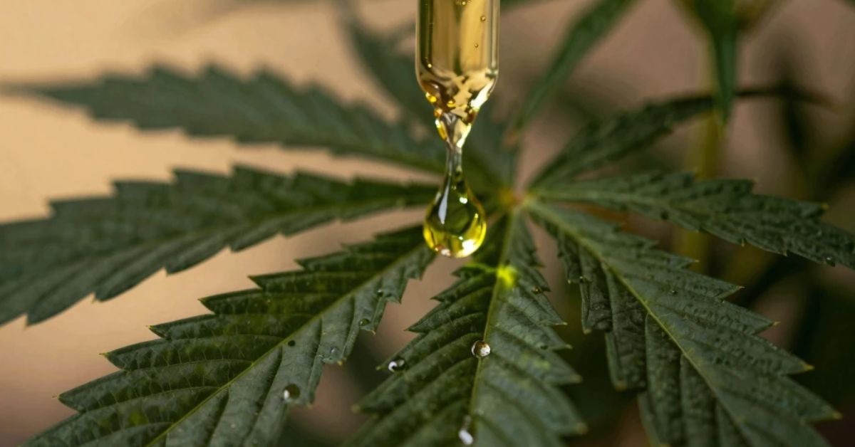 Why is CBD Oil So Expensive?
