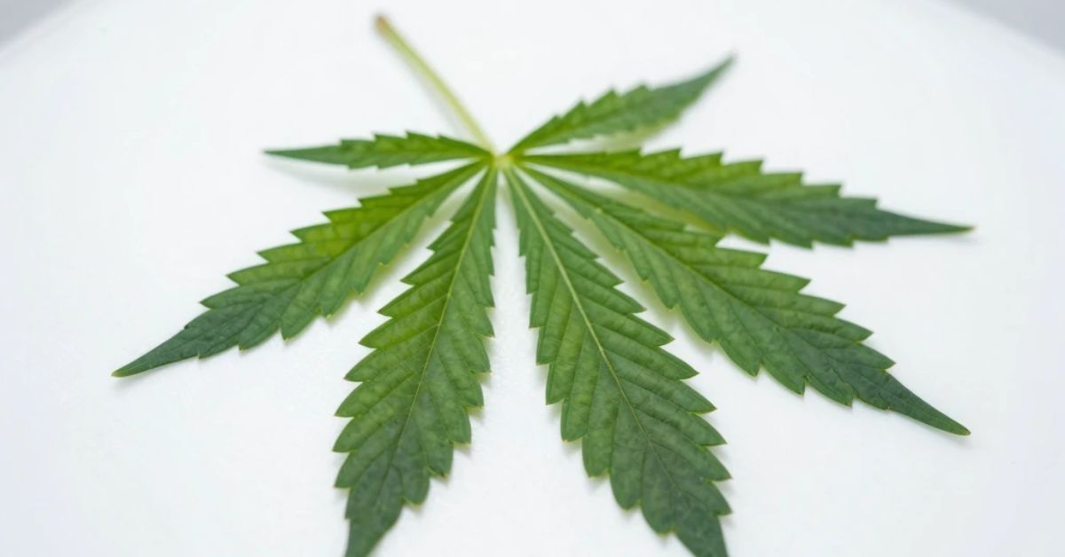 cbd for gallbladder pain