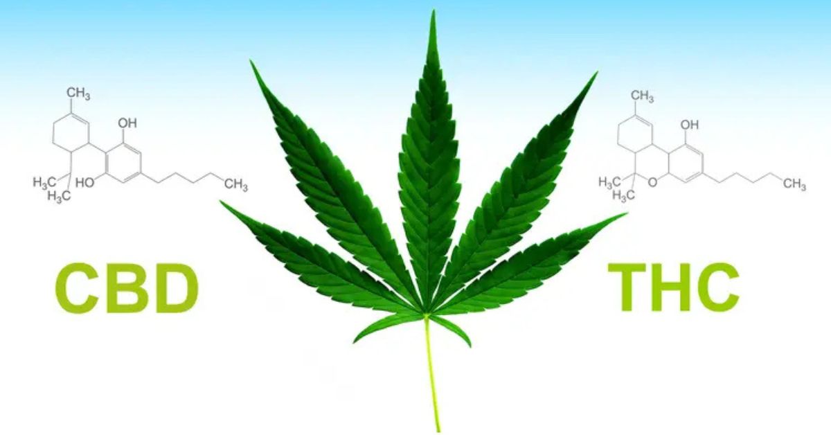 CBD & THC for Motion Sickness