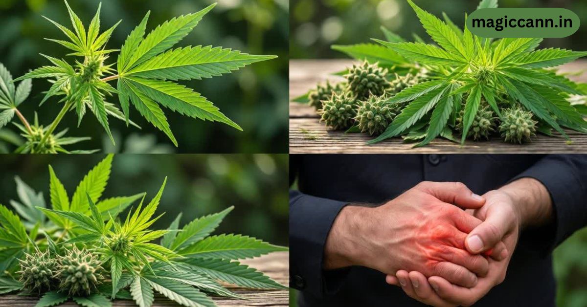 CBD for Wrist Tendonitis | Know the Truth