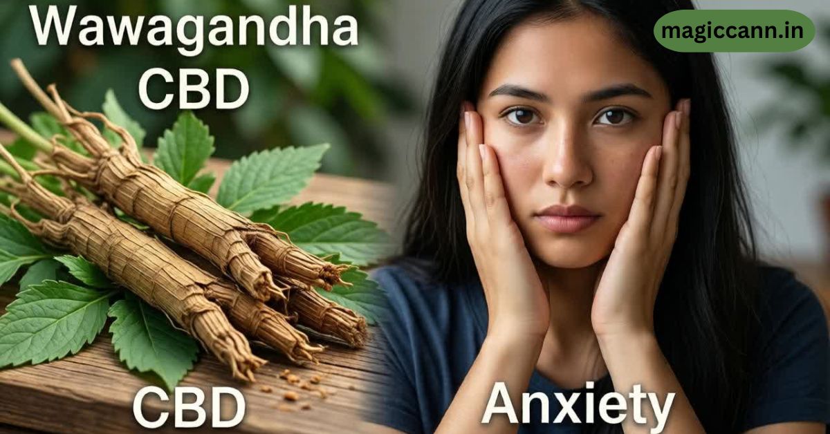 Ashwagandha vs. CBD for Sleep
