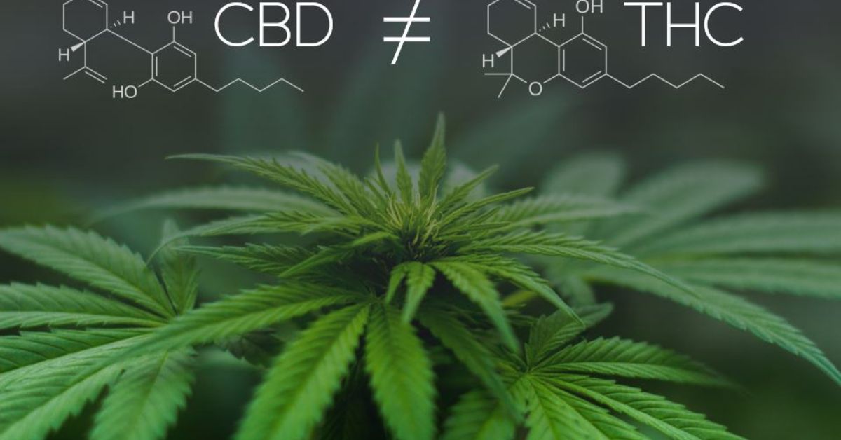 CBD & THC for Motion Sickness