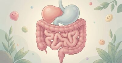 CBD and Digestive Health