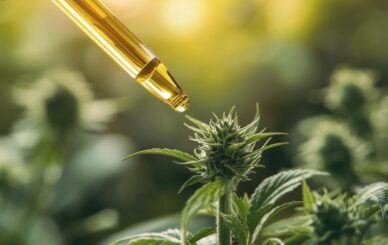 cbd oil dosage for anxiety