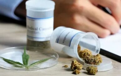 medical cannabis india