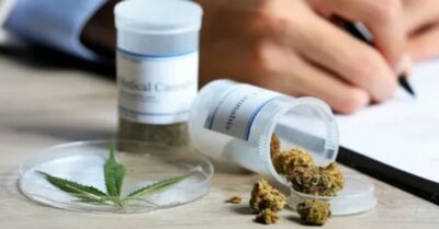 medical cannabis india