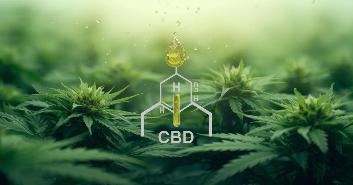 CBD for Sinus Pain: A Natural Approach to Relief